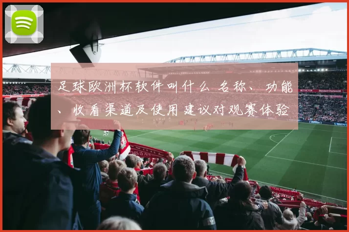 足球欧洲杯软件叫什么 名称、功能、收看渠道及使用建议对观赛体验影响