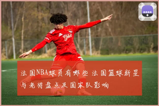 法国NBA球员有哪些 法国篮球新星与老将盘点及国家队影响